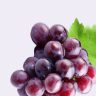 Виноград