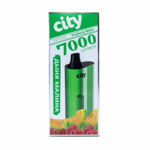 City Future (дыня/малина) M